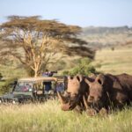 Book your flights, hotels and holiday packages to Kenya