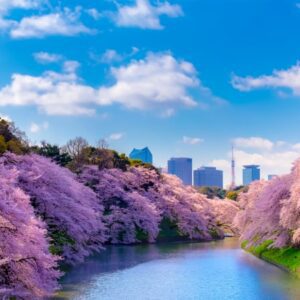 Book your flights, hotels and holiday packages to Japan